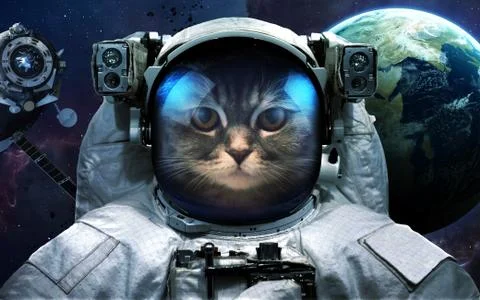Astronaut cat in outer space Stock Photos