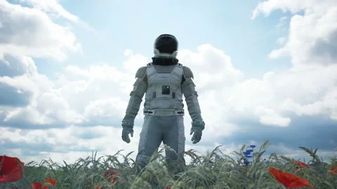 An astronaut-Explorer walks through an endless field of flowers. An astronaut Stock Footage 137600047