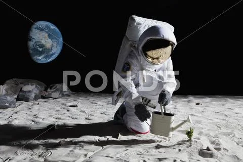 An astronaut gardening on the moon Stock Photos