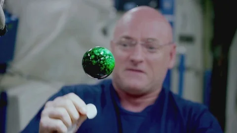 Astronaut performs scientific experiment in zero gravity Video stock 88613781
