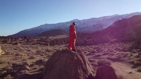 Astronaut Stares Into the Unknown Stock Footage 270397830