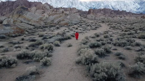 Astronaut Surveys the Unknown Stock Footage 270398484