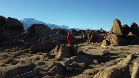 Astronaut Viewing Irregular Landscape Stock Footage 270397142