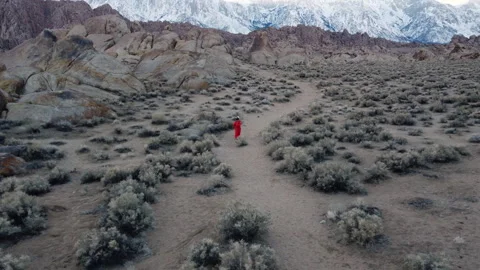 Astronaut Walking Down Unknown Trails Stock Footage 270398395