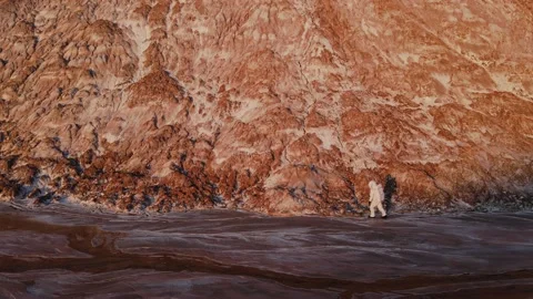 Astronaut is walking on an unknown planet. found water.discovery of a new planet Vídeo Stock 159664019