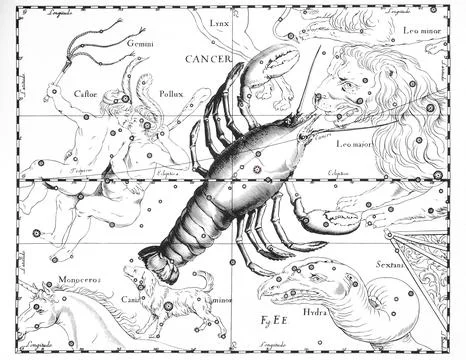 Astronomical catalog of constellations on a light background Stock Illustration