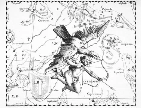 Astronomical catalog of constellations on a light background Stock Illustration