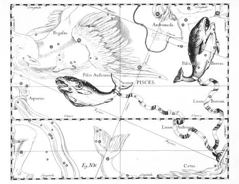 Astronomical catalog of constellations on a light background Stock Illustration
