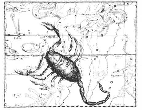 Astronomical catalog of constellations on a light background Stock Illustration