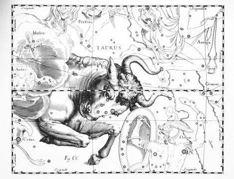 Astronomical catalog of constellations on a light background Stock Illustration