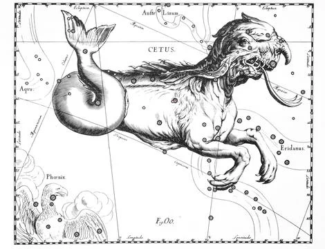 Astronomical catalog of constellations on a light background Stock Illustration