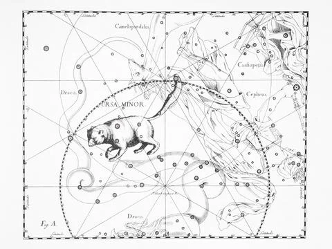 Astronomical catalog of constellations on a light background Stock Illustration