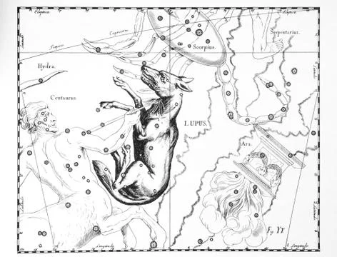 Astronomical catalog of constellations on a light background Stock Photos