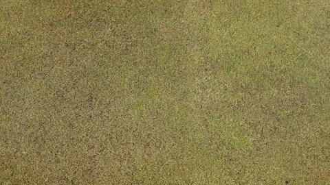 Astroturf Texture Close Up 動画素材 85463934