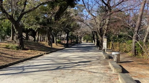 Asukayama Park Video stock 148223288