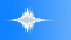 Asylum Shadows RevealSound Effect