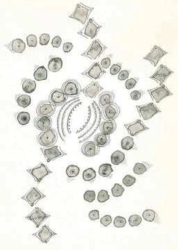 Asymmetric geometric pattern in the style of ancient cave paintings Stock Illustration