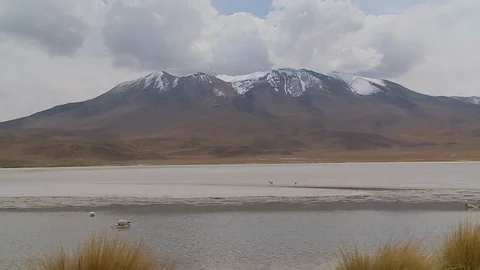 Atacama Landscape View From River Isluga, Bolivia Stock Footage 108864074