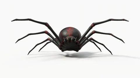 Atacking black spider. 3d illustration, front view Stock Illustration