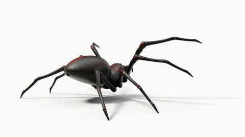 Atacking black spider. 3d illustration with white background Stock Illustration