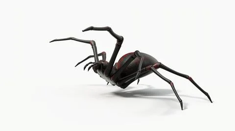 Atacking black spider. 3d illustration, side view Stock Illustration