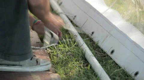 Atando carpa Stock Footage 11852947