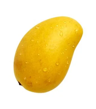 Ataulfo mango isolated with a clipping path Foto stock