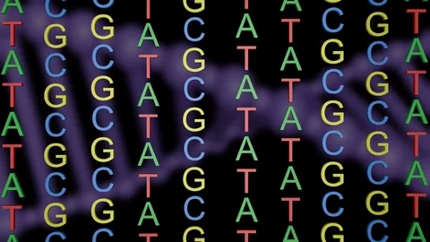 ATCG in DNA.Rotating DNA molecule background. 3d animation Stock Footage 90943662