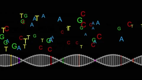 Nucleotides Stock Footage Royalty Free Stock Videos Pond5