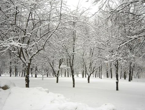 Ater snowfall Stock Photos