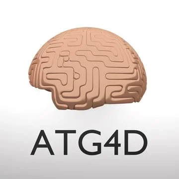 ATG4D - genetic concep Stockillustratie