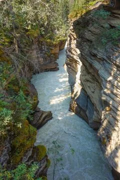 Athabasca Falls in Alberta Foto stock