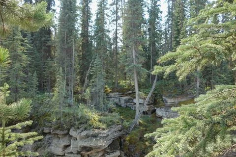 Athabasca Falls in Alberta Stock Photos