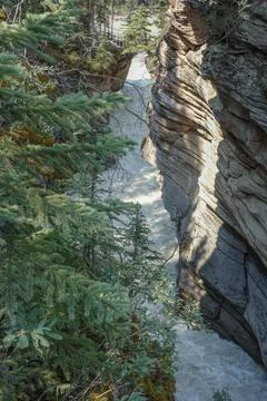 Athabasca Falls in Alberta Stock-Fotos