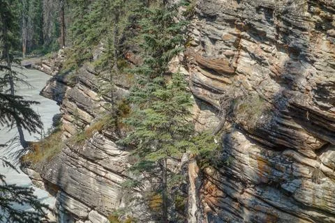 Athabasca Falls in Alberta Stock Photos