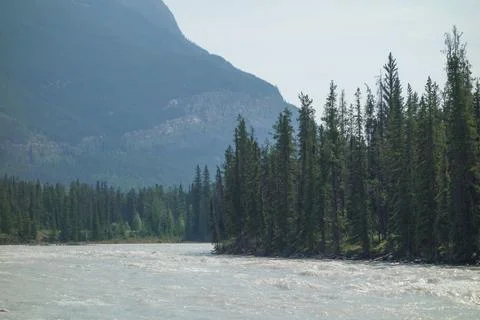 Athabasca Falls in Alberta Stock Photos