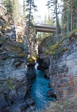 Athabasca Falls bridge 스톡 사진