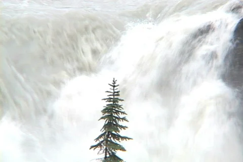Athabasca Falls CU Tilt spring Stock Footage 138269