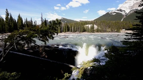 Athabasca falls Stock Footage 87873378