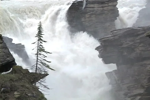Athabasca Falls MCU spring Stock Footage 138261