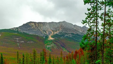 Athabasca Falls Pan Up and Down Time Lapse 4K Stock Footage 132468505