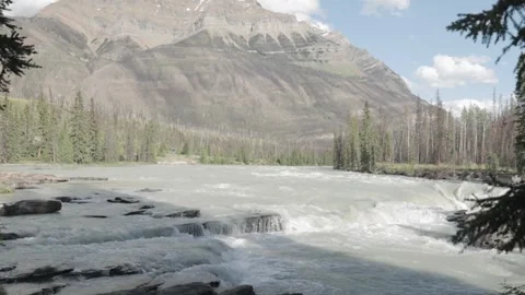 Athabasca River Rapids Flowing Below Jasper’s Snow‑Tipped Mountain Vidéo 345007083