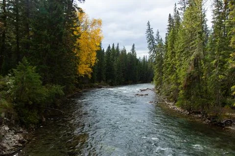 Athabasca River through its passage in Maligne Canyon Stock Photos