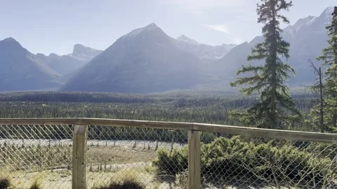 Athabasca River Viewpoint with Mountain Backdrop - Jasper, Alberta Stock Footage 345584633