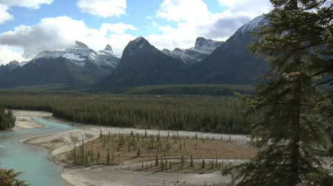 Athabasca Valley WS panleft Stock Footage 139754