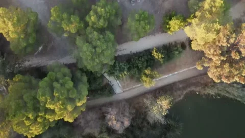 Athalassa Park from Drone Video stock 149146137