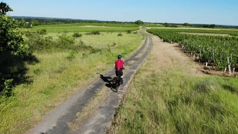 Atheltic training or strength workout on sunny summer day. Healthy cycling Stock Footage 132051121