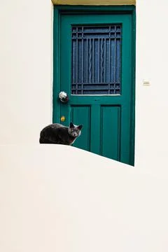 Athens Cat Stock Photos