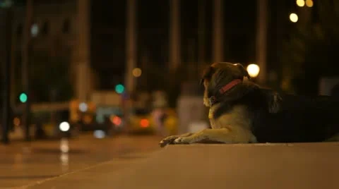 Athens city views Stock-Footage 12576556