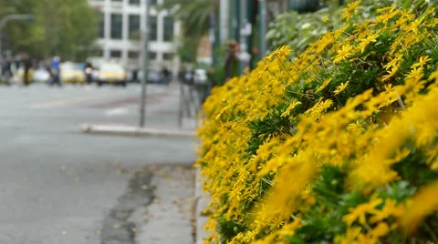 Athens traffic slow motion Stock Footage 44805153